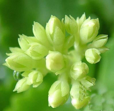 實(shí)力派學(xué)校