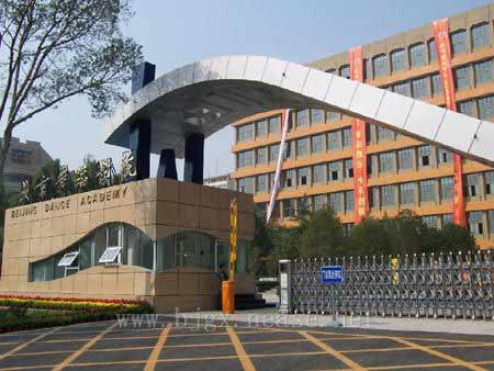 �����赸�WԺ