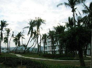 ���ϴ�W(xu��)�����W(xu��)Ժ