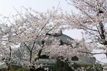 ��h��W(xu��)