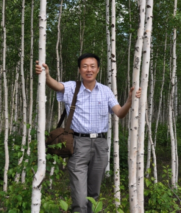 ���ܰ��迧��