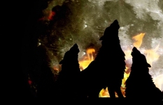 ���ԈD�v��Ʒ3